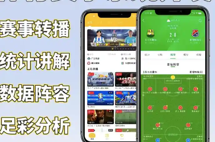 专家